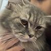 curious4