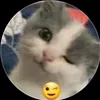 bababeo2.0