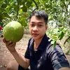 potraicay