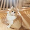 eun_bin39