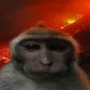 kvzadex