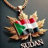 abdalrazig.haroun