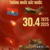 tam.dz5