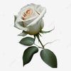 user9309049039996