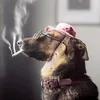 snus.d0g