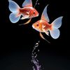 poissonrouge770