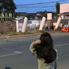 ann_.ngginie