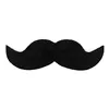 mr.snor1