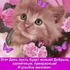 user6126371836853