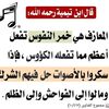 mehamad.alkalmi