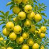 abdalla.abdalla526