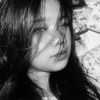 stephani4719
