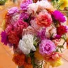 xun.thnh162