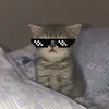 bombirz_2137