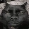 ..____p.he