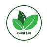 plantdad411