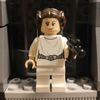 leiasbricks