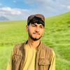 safi.farid5
