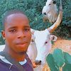 barry.dowda