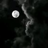 user1930460018172