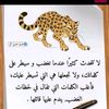 user6619635568455
