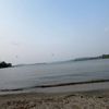 alys.svigny