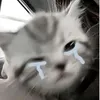 4no_z