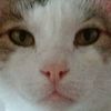 user_nfts