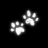 stich_7984