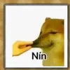 nahidlosehaha