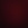 damesh_1956