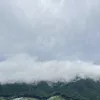 gyaosu420