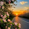 sayar.kyaw749