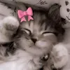 samantha_elai