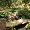 duckland8