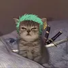 hai0manh
