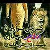 sijaadbrohi745