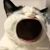 thanhnhanp6