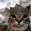 just_an_account123
