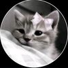 your_pakhi30
