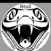 somagobho_ntuliholdings