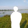 branglung20_
