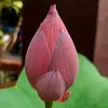 cc.dng396