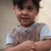 ..ali.alii