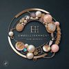 embellishment_hubng