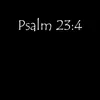 jay.cruz536