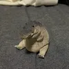 sylkrat