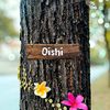oishee.10