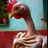 siibahle.lindi.md