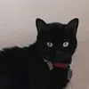 nochebruja123